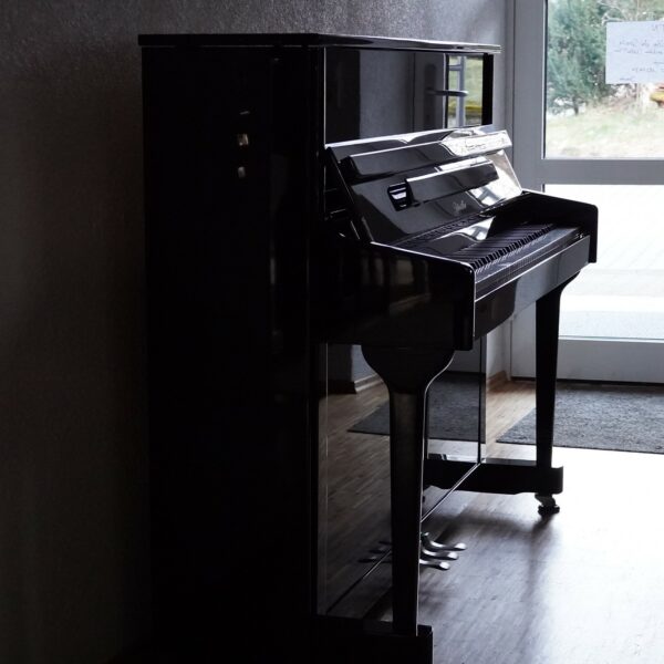 118 Classic EU – Bild 2