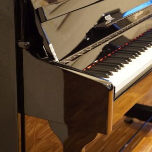 Klavier Ritmüller 118 EU schwarz