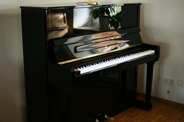 132 Ritmo Konzertklavier – Bild 10