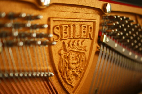 132 Ritmo Konzertklavier – Bild 7