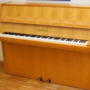 110 Grotrian-Steinweg