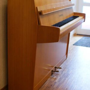 110 Grotrian-Steinweg