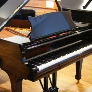 170 Steinway M Flügel