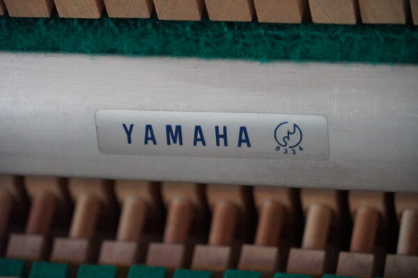 Yamaha 104
