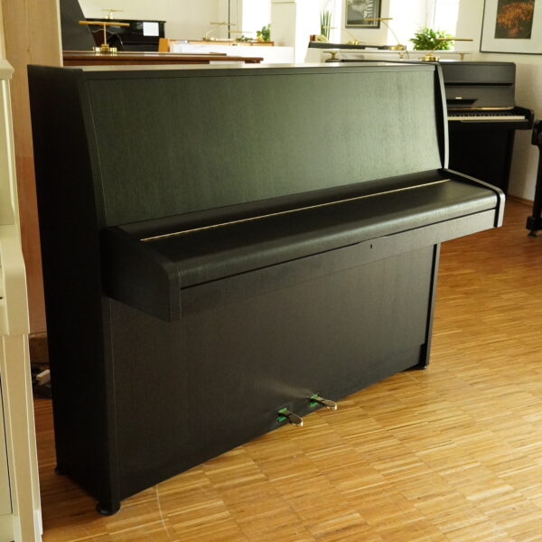 115 Sauter schwarz – Bild 21