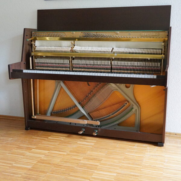 vermietet: 107 Hupfeld – Bild 8