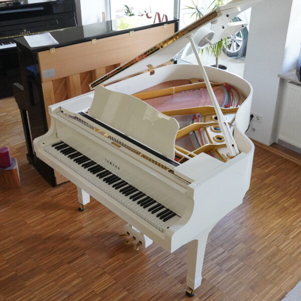 172 cm Yamaha G2 Flügel – Bild 5