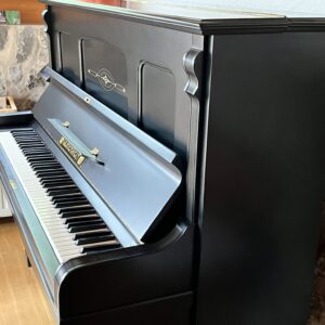 Klavier Lichtenstein schwarz Jugendstil