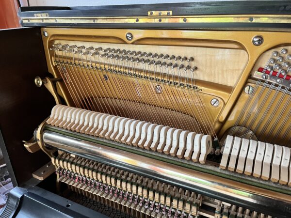 125 Lichtenstein Jugendstilklavier schwarz – Bild 9