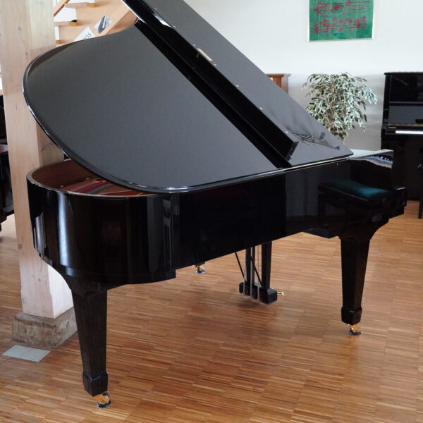 186cm C3 Flügel 2003 – Bild 4