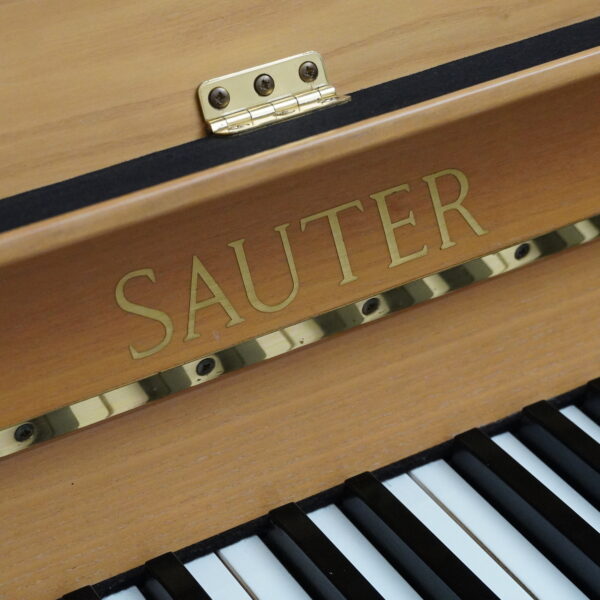 114 Sauter Esche natur – Bild 3