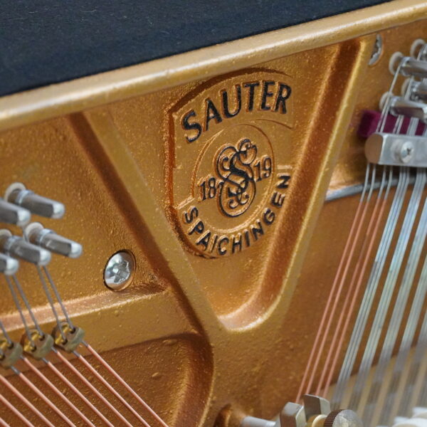 114 Sauter Esche natur – Bild 8