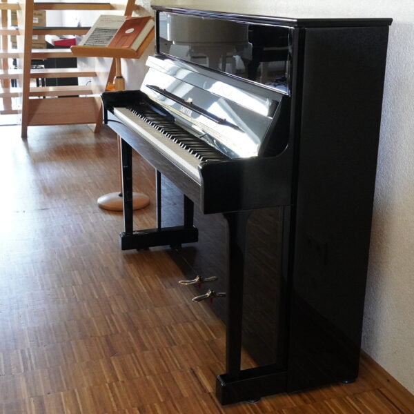 118 Sauter R2 RR schwarz – Bild 9