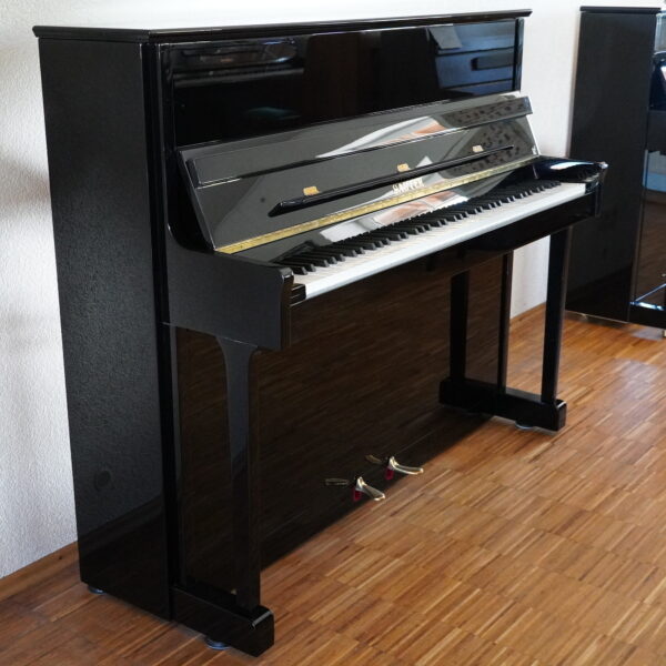 118 Sauter R2 RR schwarz – Bild 10