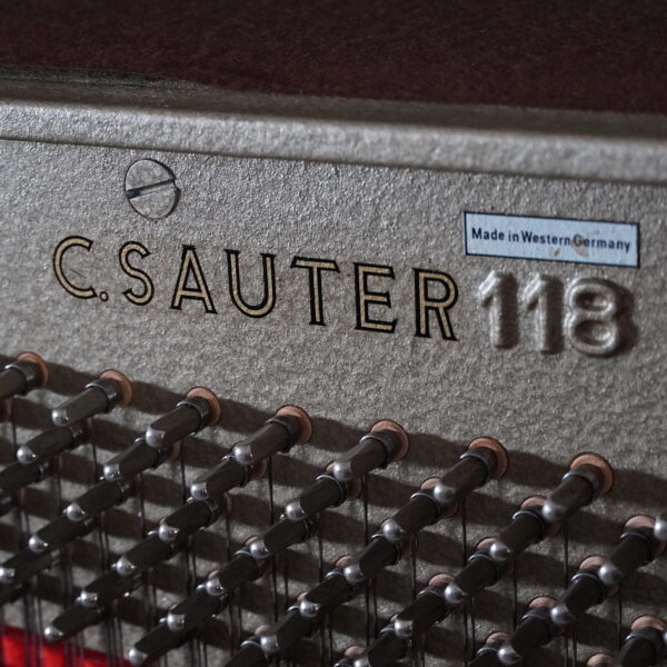 118 Sauter R2 RR schwarz – Bild 17