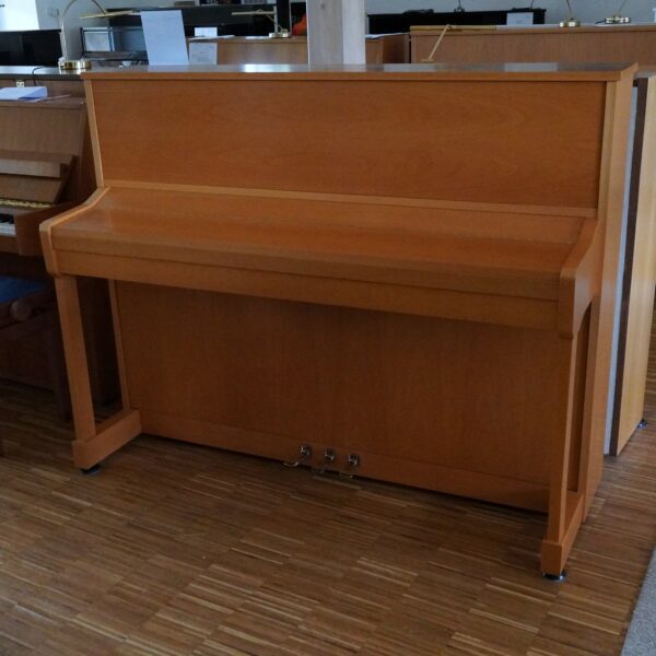 115 Schimmel Buche – Bild 12
