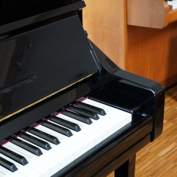 121- Yamaha YU10 schwarz 2004 – Bild 14
