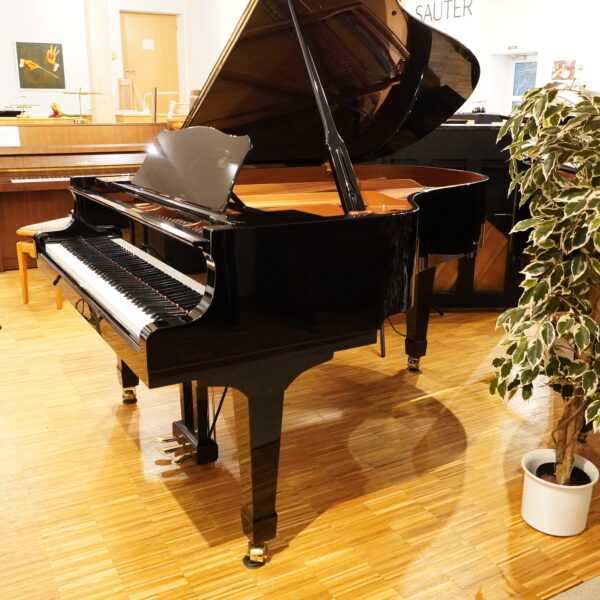 186cm C3 LA Flügel 2004 – Bild 2