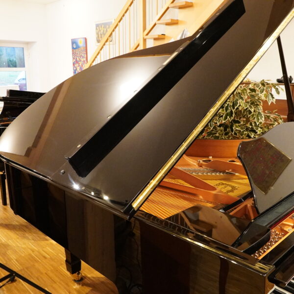 186cm C3 LA Flügel 2004 – Bild 5