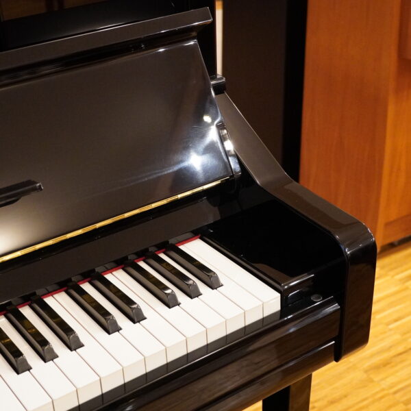 121- Yamaha YU10 schwarz 2004 – Bild 3