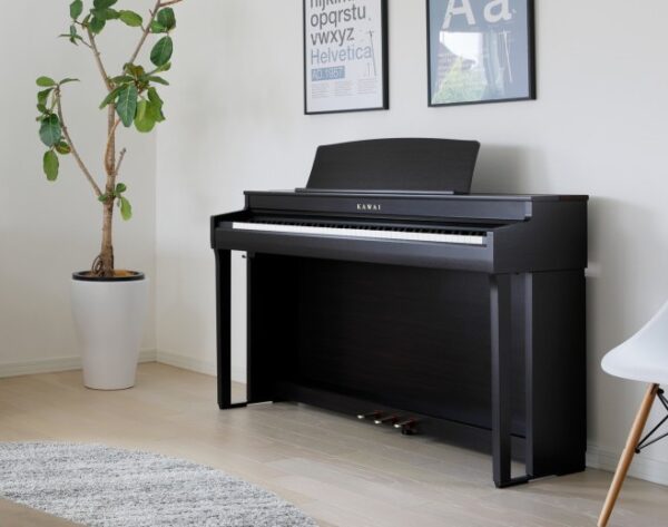 Kawai CN-301