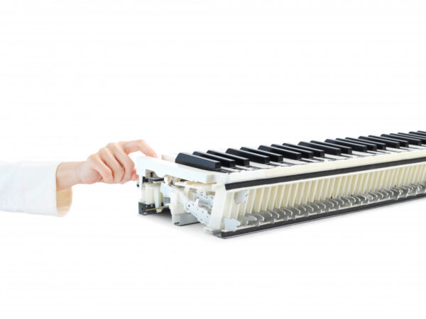 CN-301 Digitalpiano – Bild 8