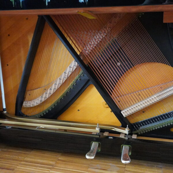132 C. Bechstein Concert 8 schwarz – Bild 29
