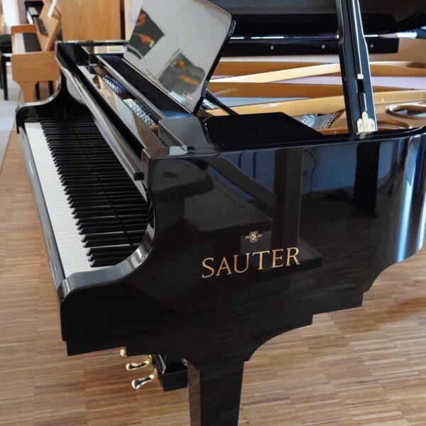 185cm C. SAUTER Delta Flügel schwarz – Bild 4