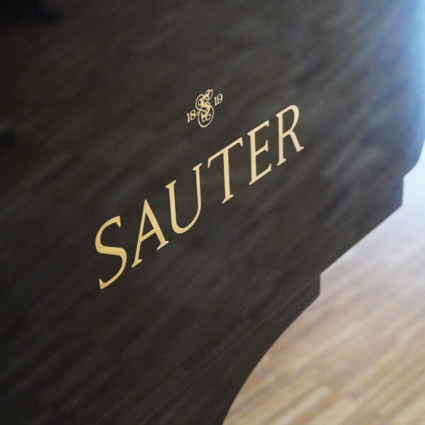 185cm C. SAUTER Delta Flügel schwarz – Bild 12