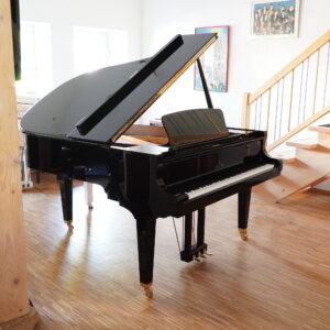 185cm C. SAUTER Delta Flügel schwarz