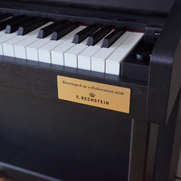 CASIO GP-310BK – Bild 16