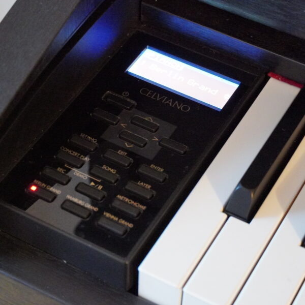 CASIO GP-310BK – Bild 14