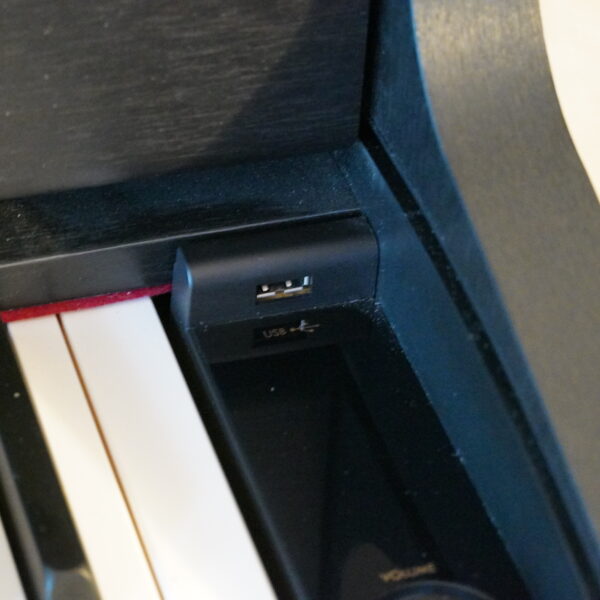 CASIO GP-310BK – Bild 12