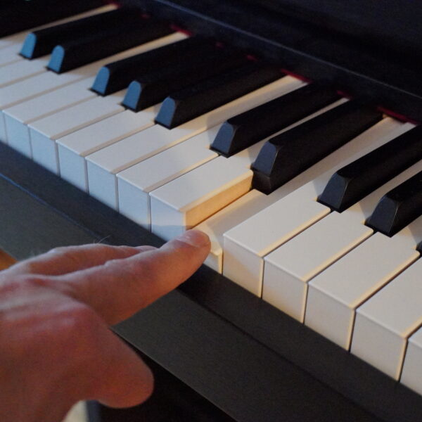 CASIO GP-310BK – Bild 9