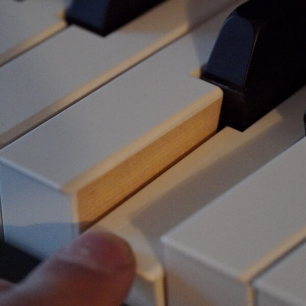 CASIO GP-310BK – Bild 8