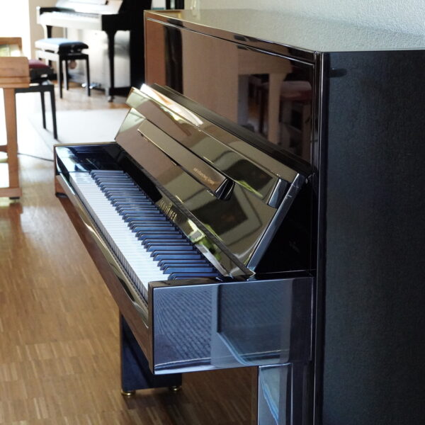 116 Schimmel Classic Modern schwarz – Bild 21