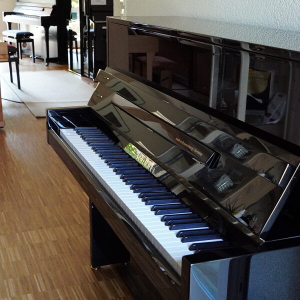 116 Schimmel Classic Modern schwarz – Bild 20