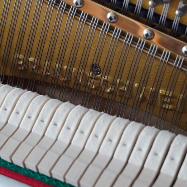 121 C Schimmel TwinTone Silent Tradition weiß – Bild 17