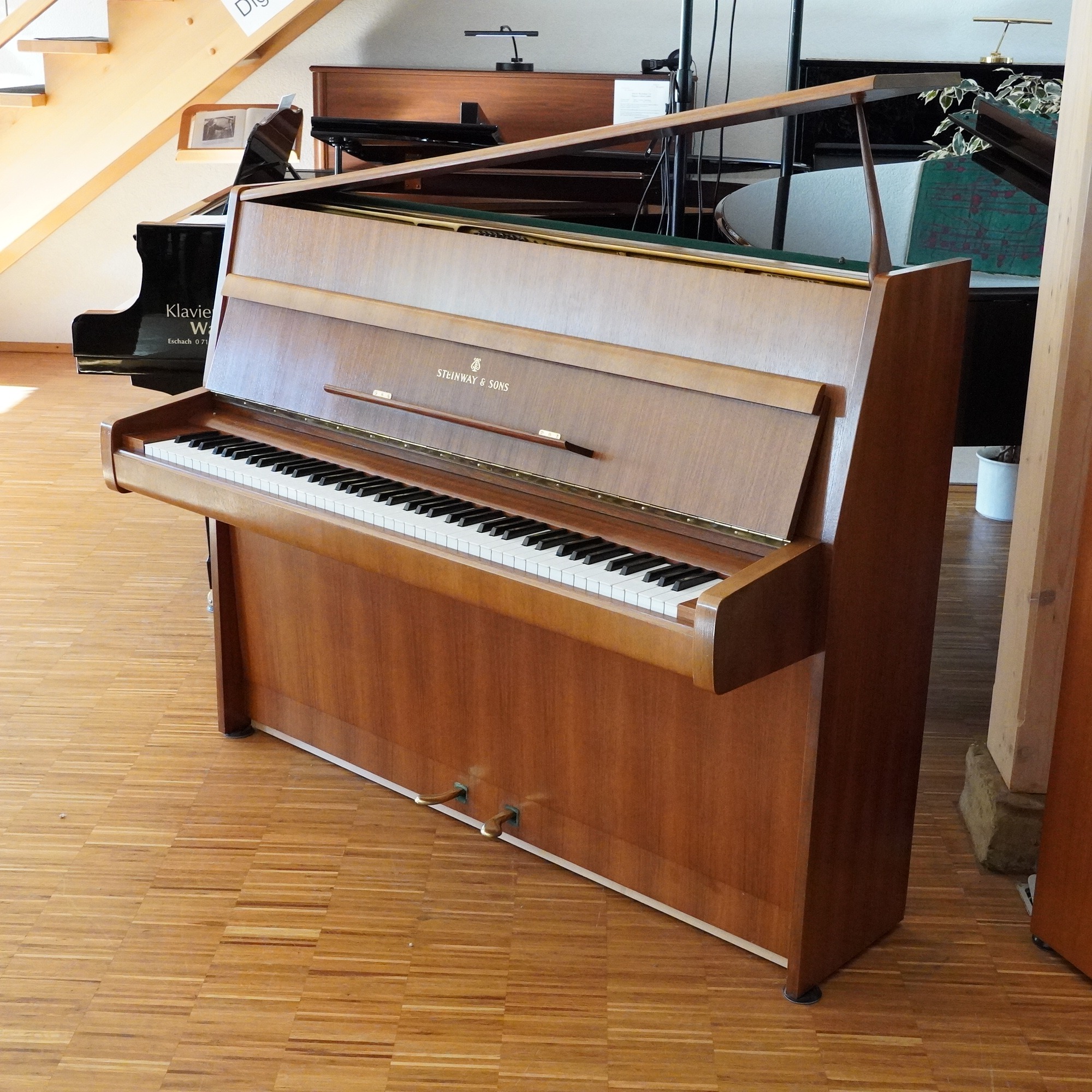 115 Steinway Z Nussbaum Klavier Steinway Z Nussbaum gebraucht