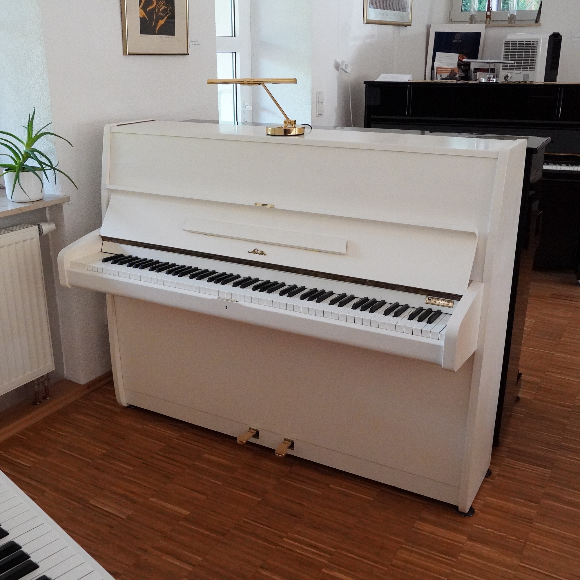 113 Sauter weiß – Bild 3