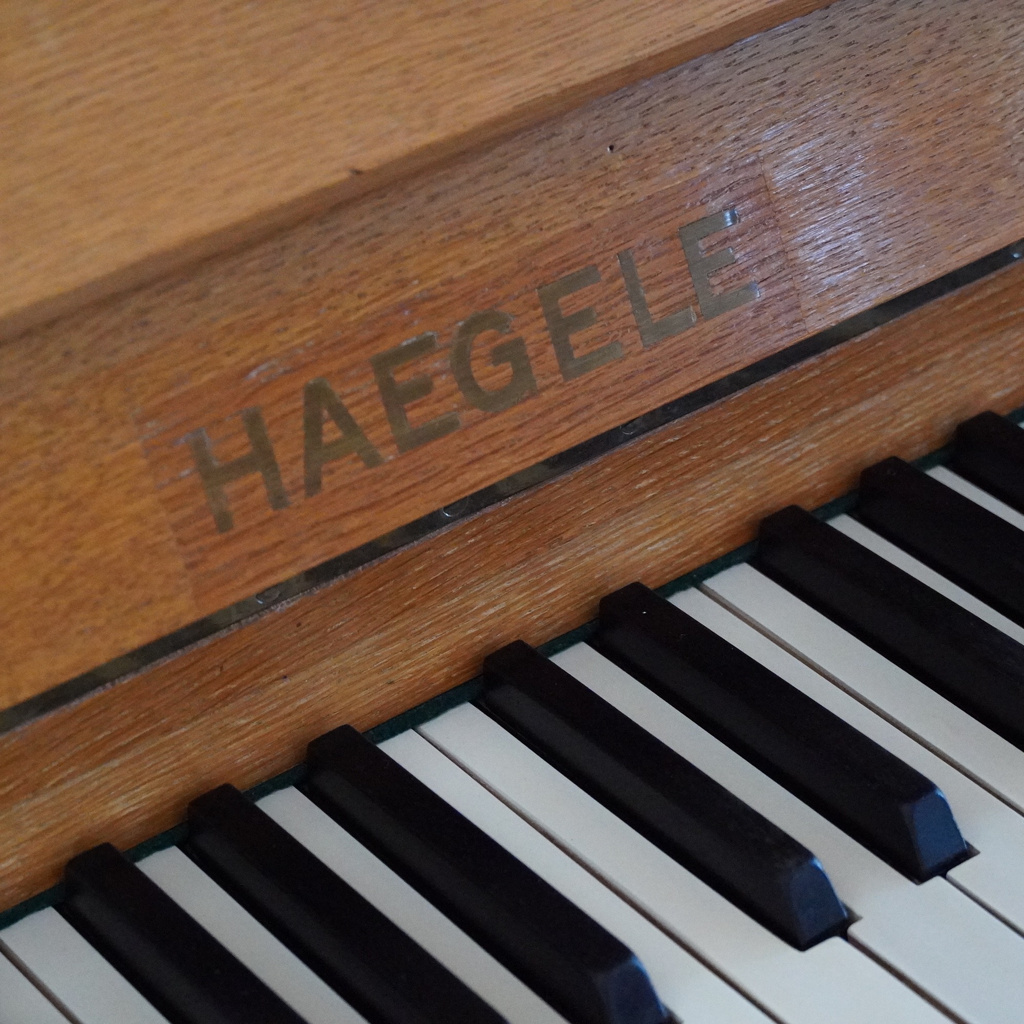 1 124 Haegele Eiche – Bild 3
