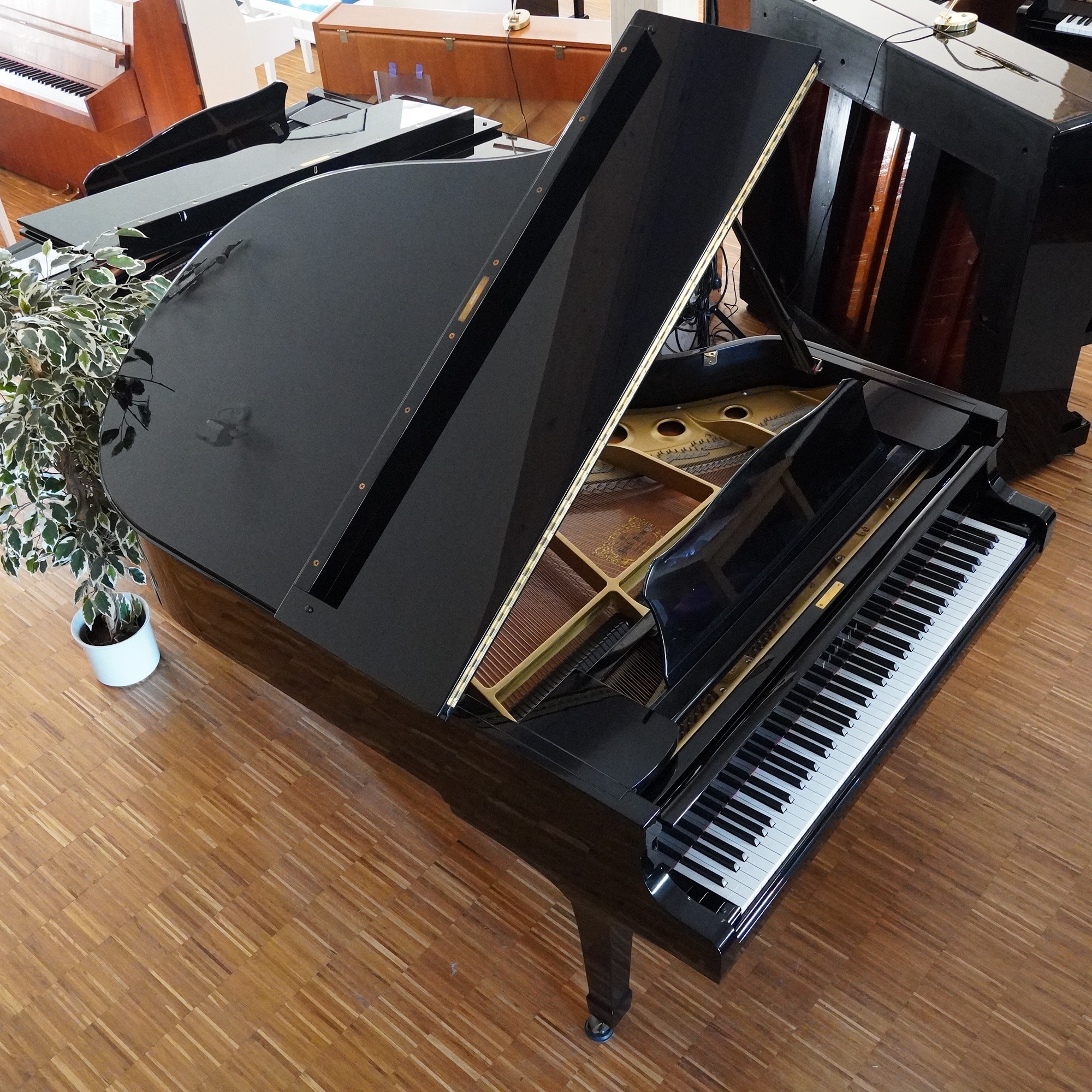 186 Yamaha C3 Flügel schwarz – Bild 5