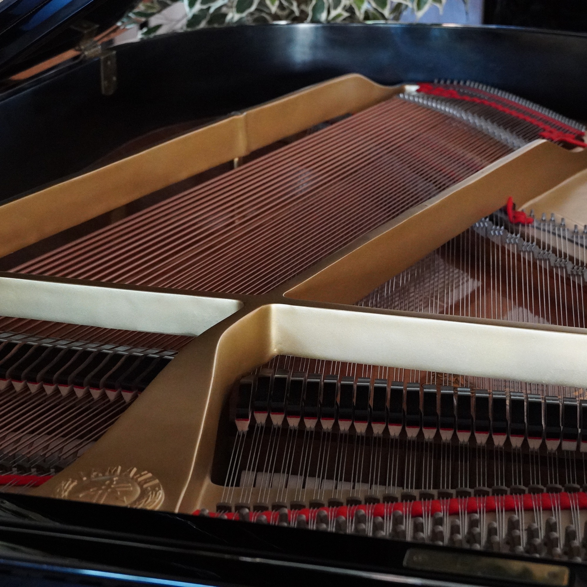 186 Yamaha C3 Flügel schwarz – Bild 12